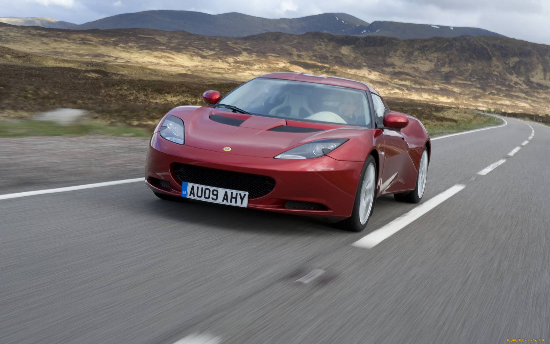, lotus